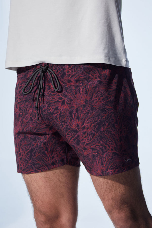 [ ] [Eco] Amphibian Short